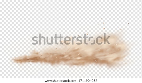 Road dust cloud with flying stones and\
particles isolated on transparent background. A cloud of dust sand\
flying from under the wheels of a fast-moving car or motorcycle.\
Realistic vector\
illustration