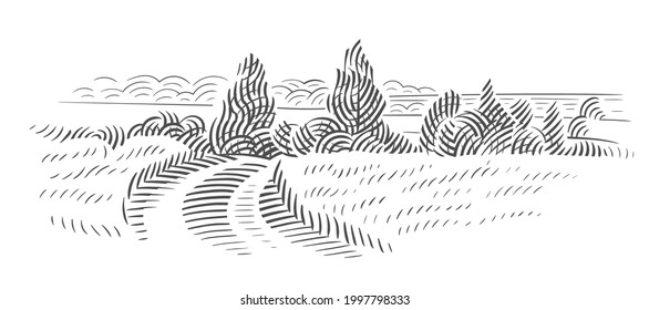 Carretera en boceto de campo. Ilustración de la línea de tierras de cultivo, paisaje natural. Vector, aislado.	
