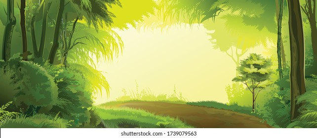 Road in the forest landscape. Vector. Beautiful view, green deciduous trees, shrubs, thickets. Spring, summer day. Background image.