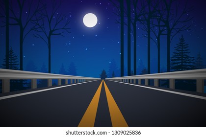 Road In The Forest In Night