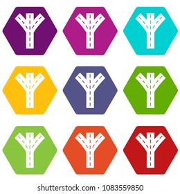 Road forkicons 9 set coloful isolated on white for web