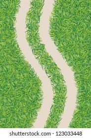 road in the green