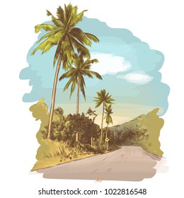 road and jungle with palm trees on the edges, sketch vector graphics colored drawing