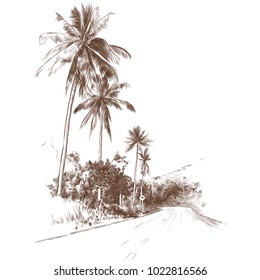 road and jungle with palm trees on the edges, sketch vector graphic monochrome drawing