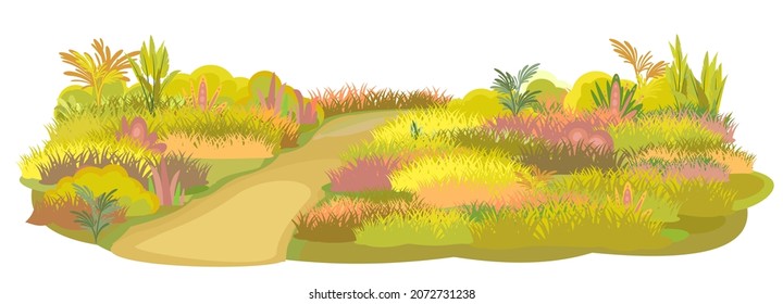 Road obliquely to meadow. Autumn grassy glade. Grass close up. Rural beautiful landscape. Wild uncut lawn. Trail. Cartoon style. Flat design. Illustration isolated. Vector art