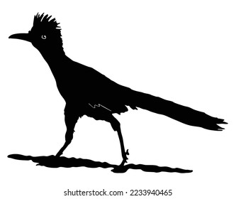 road runner bird logo silhouette vector illustration