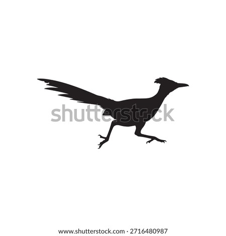 Road runner bird silhouette vector flat illustration design  on white back ground