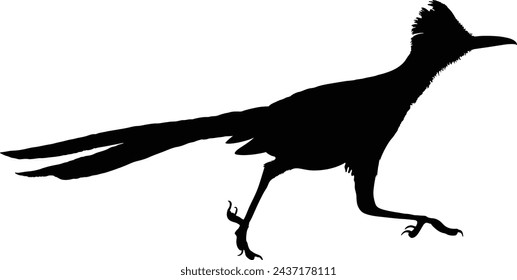 Road runner silhouette. Cleanly drawn silhouette.