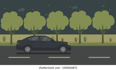 road and trees vector illustration night