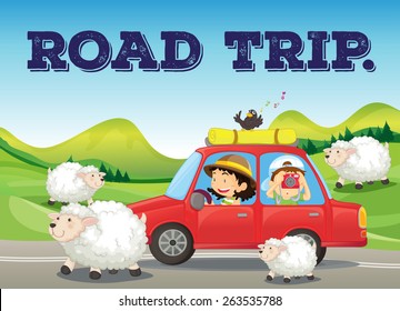 Road trip in countryside with farm and sheeps background