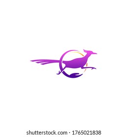 Roadrunner bird abstract minimal simple geometric logo design icon template silhouette isolated with white background