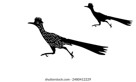 Roadrunner Bird , black isolated silhouette