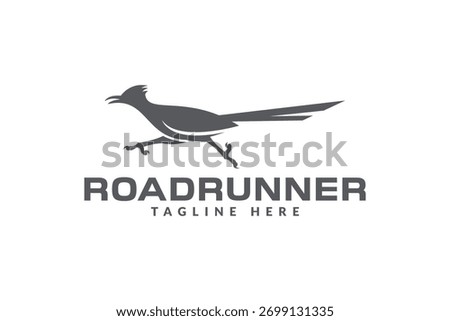 roadrunner bird logo vector icon illustration	