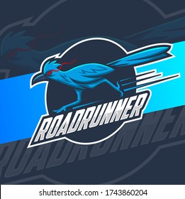 Roadrunner Bird Mascot Logo Design