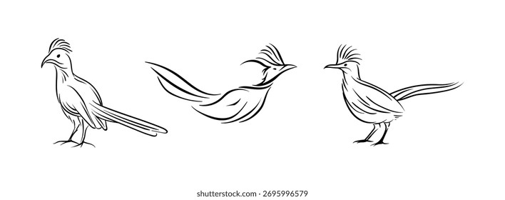 Roadrunner Line Art Vector On Black Colour