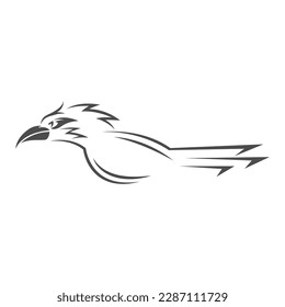 Roadrunner logo icon design illustration 