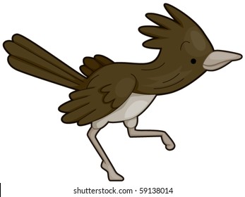 A Roadrunner - Vector