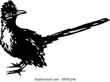 Roadrunner Vector Illustration