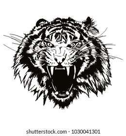 A roaing tiger hand drawn vector illustration black & white