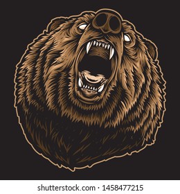 roaring bear vector and illustration