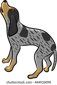 A Roaring Blue Tick Hound