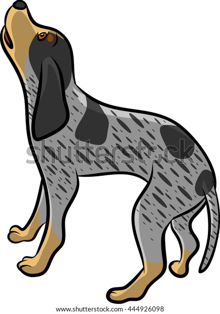 4 Blue Tick Hound Stock Vectors Images And Vector Art Shutterstock