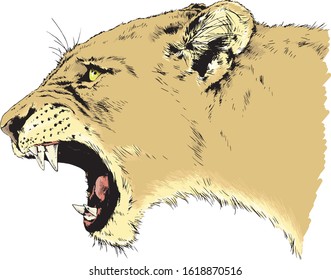 roaring forward lion 