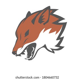 Roaring fox head emblem on white background, symbol of aggressive beast