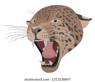 Roaring jaguar illustration. Realistic vector.