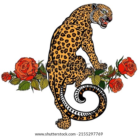 Roaring leopard climbing up and blooming roses. Angry spotted panther. Tattoo style vector illustration isolated on white
