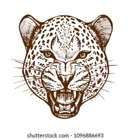 Roaring leopard head with bared teeth animal portrait ink sketch hand drawn vector illustration isolated on white background design for tattoo, coloring book page and poster