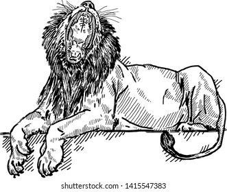 A roaring lion bearing its fangs. Hand drawn vector illustration. 