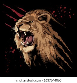 Roaring lion face with the claws scratches and blood stains on background.