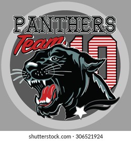 Roaring Panther.Varsity Team.