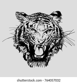 Roaring tiger face. Vector illustration