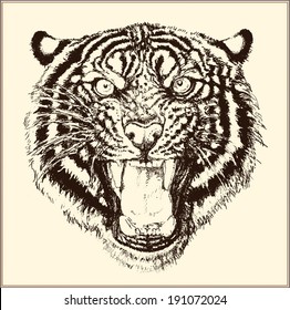 Roaring tiger head