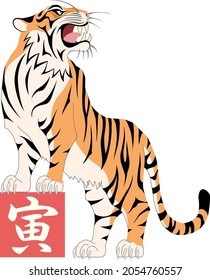 The roaring tiger, isolated on white background
(Translation : Tiger)