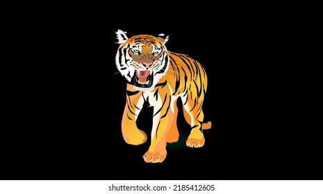Roaring tiger stands in the black background vector
