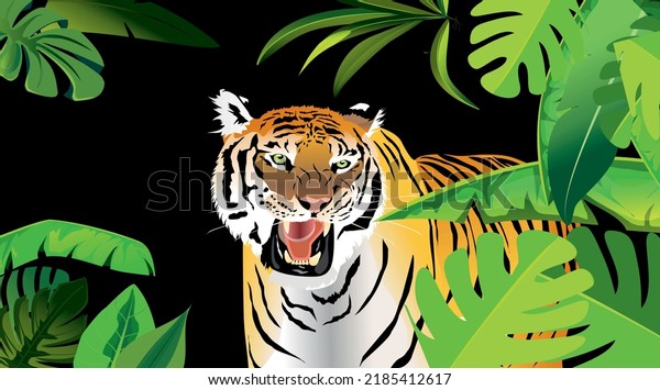 Roaring tiger stands in the black jungle background vector.
