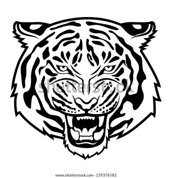 Image Vectorielle De Stock De Tete De Tigre Grisante Isolee Sur