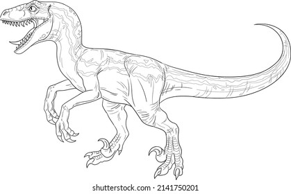 Roaring velociraptor. Mesozoic era carnivorous dinosaur. Vector outline for coloring book