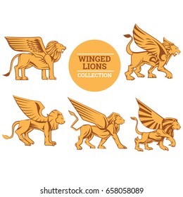 Roaring Winged Lion on Gold Color and White Background