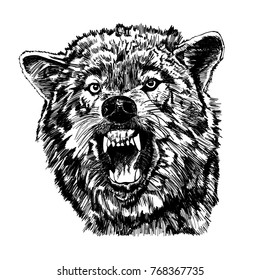 Roaring Wolf Vector Illustration Stock Vector (Royalty Free) 768367735 ...