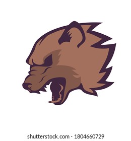 Roaring wolverine head emblem on white background, symbol of aggressive beast