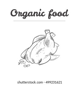 roast chicken, chicken bbq, vector sketch illustration, organic food, chicken with lemon