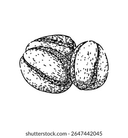 feijão de café torrado desenhado à mão. mocha latte, mocha cappuccino, descafeinado orgânico torrado vetor feijão de café esboço. ilustração preta isolada