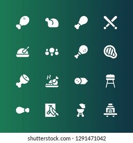 roast icon set. Collection of 16 filled roast icons included Barbecue, Chop, Chicken leg, Cold meat, Roast chicken, Ham leg, Meat, Fried chicken, Drumsticks