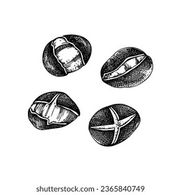 Roasted chestnut sketches set. Hand-drawn vector illustration. Traditional European Christmas market, fast food, nuts, design element 