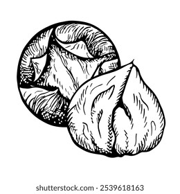 Roasted chestnut. Vector graphics depicting the fruits of a peeled roasted chestnut. A black and white hand-drawn illustration. On a white background. Great for labels, covers, flyers and packages.