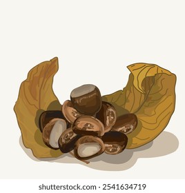 castanhas torradas decoradas por folhas de queda seca delicous alimento ilustração vetor realista sobre fundo branco